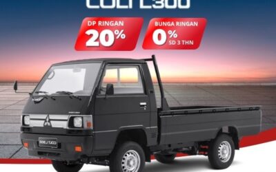 L300